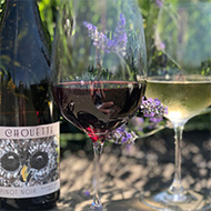 Club Chouette: bottle and glasses of La Chouette Wine