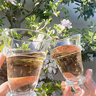 Two people toasting with glasses of white wine